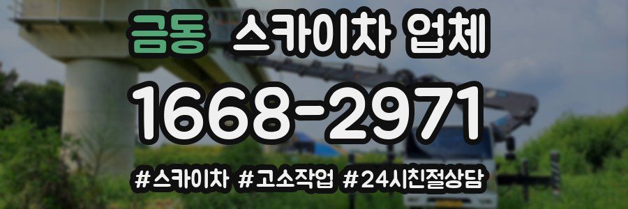 금동 스카이차 업체