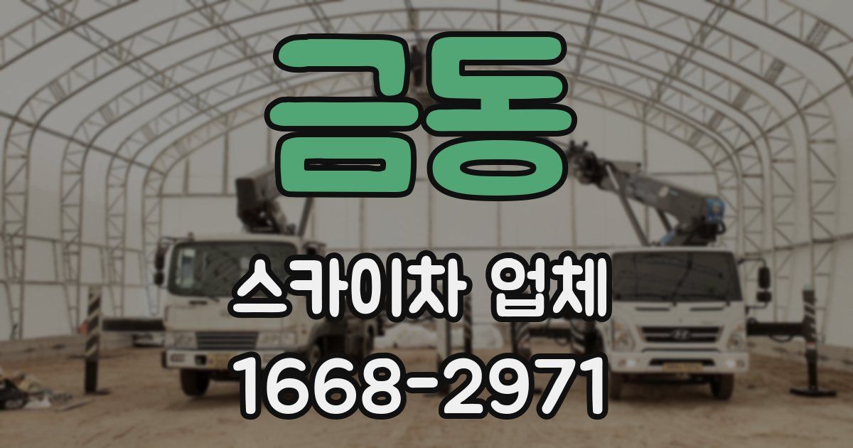 금동 스카이차 업체