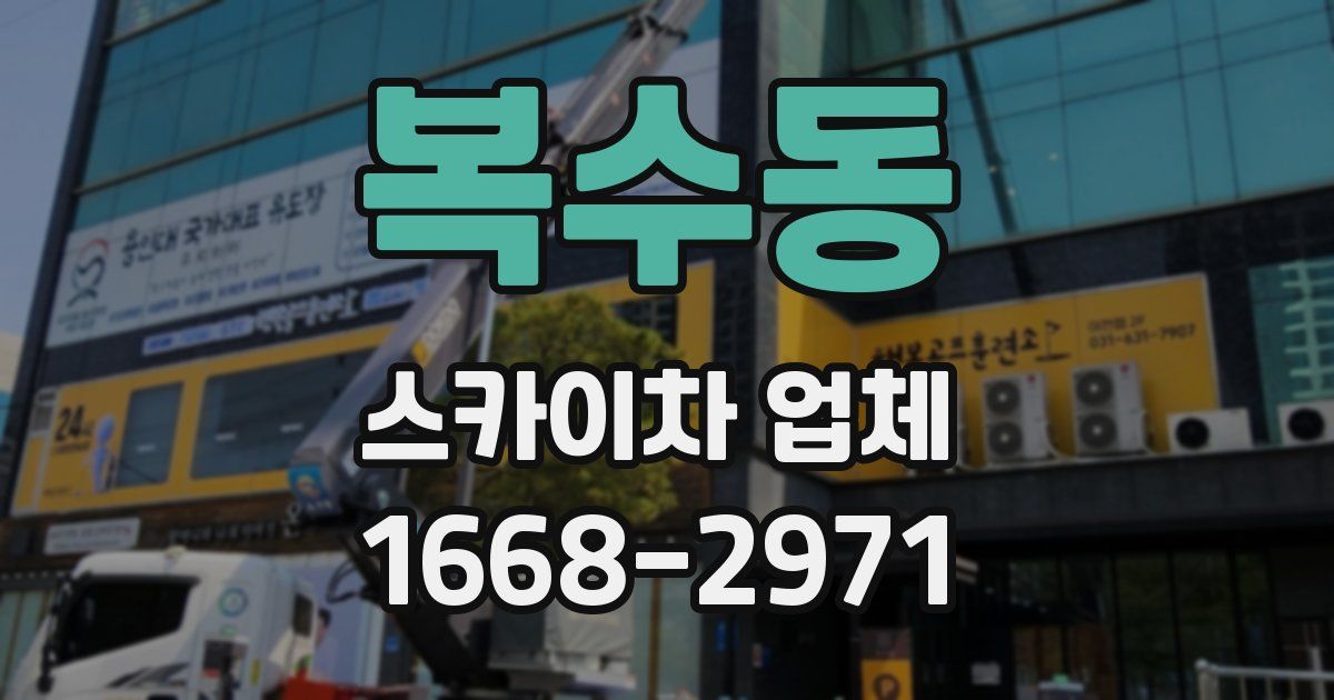 복수동 스카이차 업체
