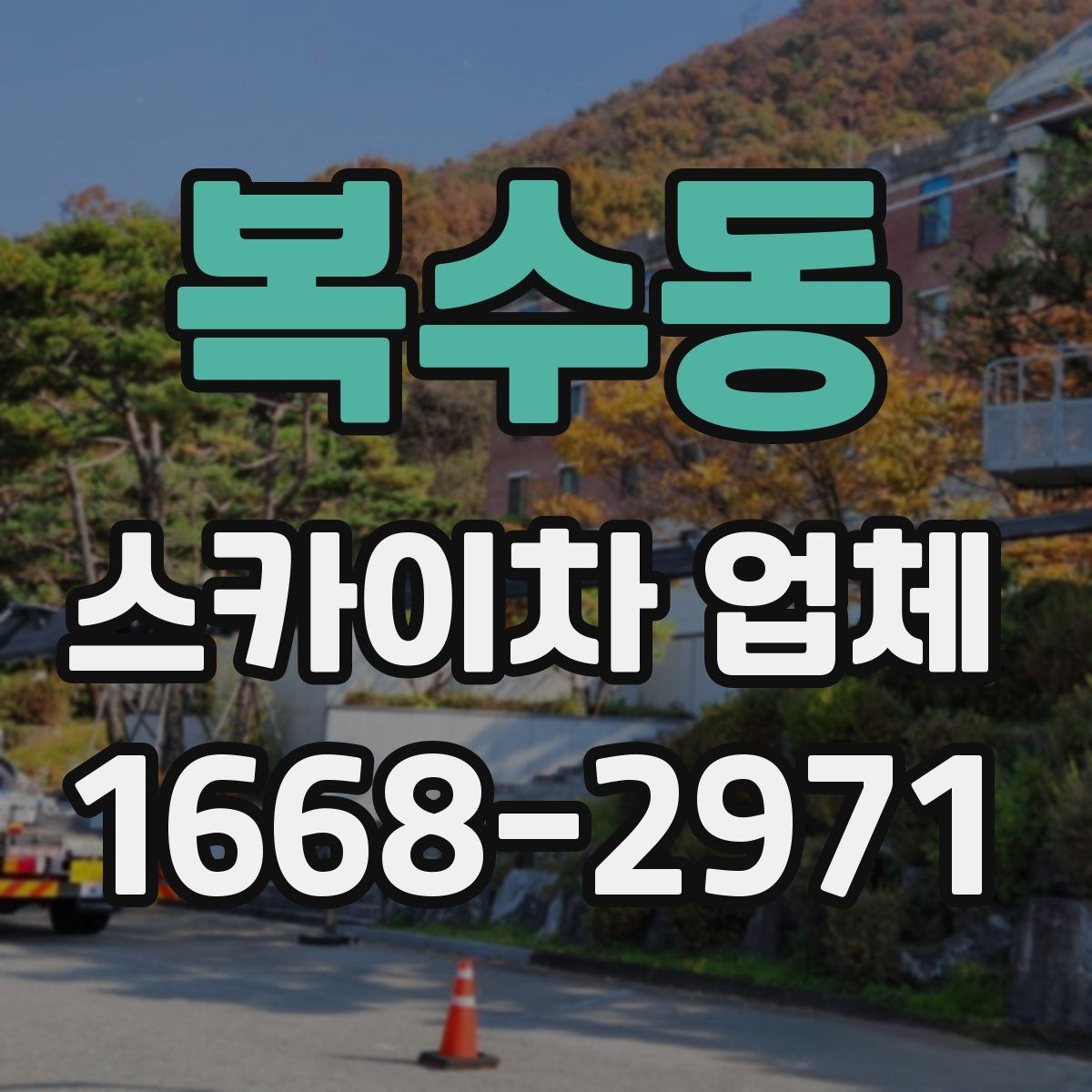 복수동 스카이차 업체