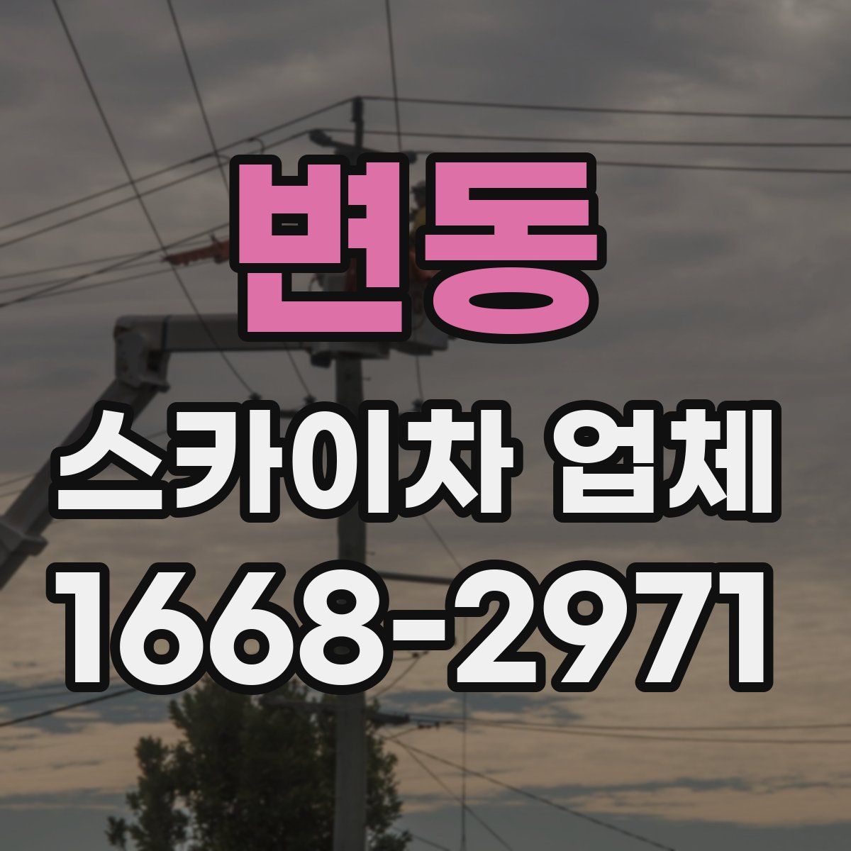 변동 스카이차 업체