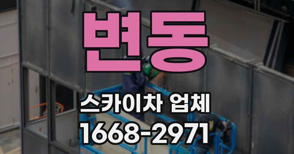 변동 스카이차 업체