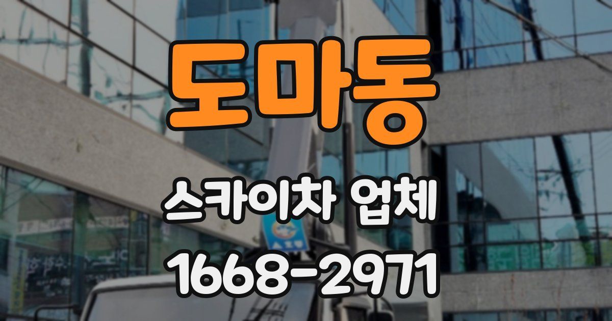 도마동 스카이차 업체