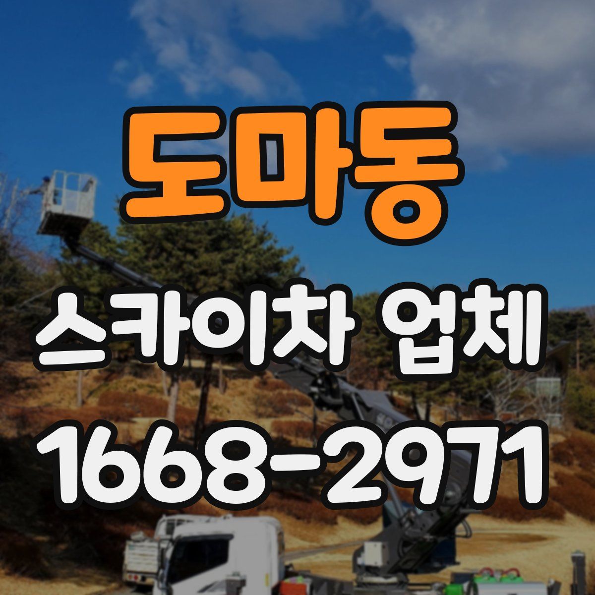 도마동 스카이차 업체