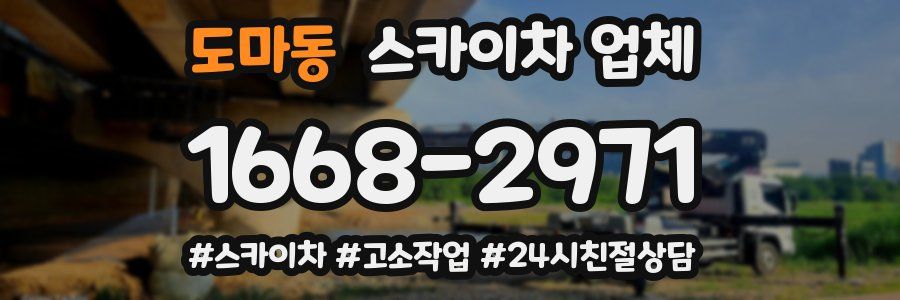 도마동 스카이차 업체