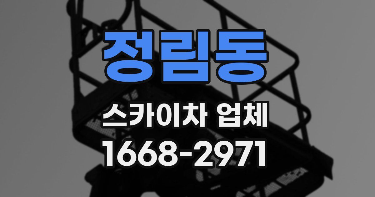 정림동 스카이차 업체