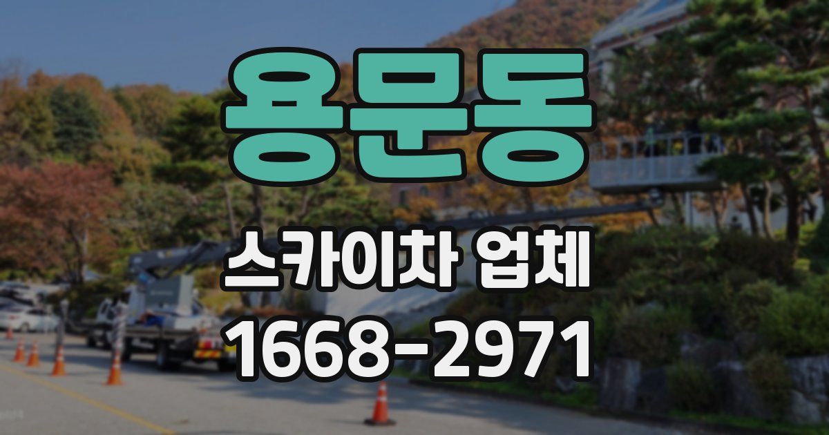 용문동 스카이차 업체
