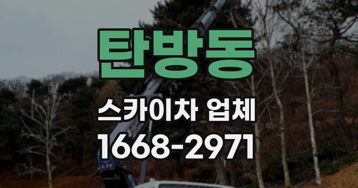 탄방동 스카이차 업체