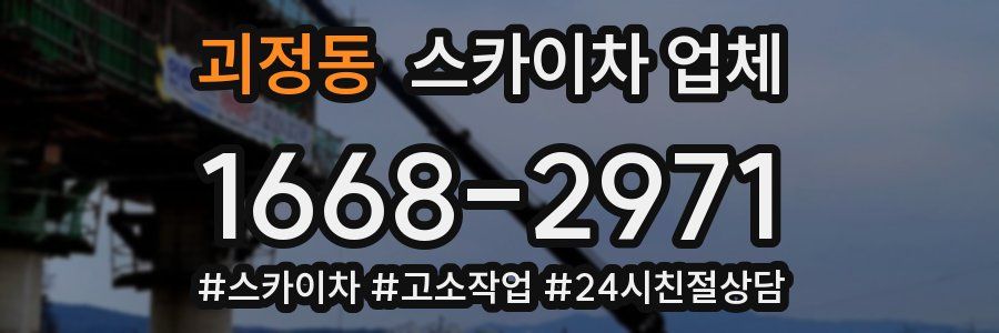 괴정동 스카이차 업체