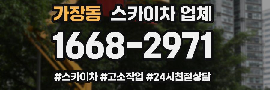 가장동 스카이차 업체