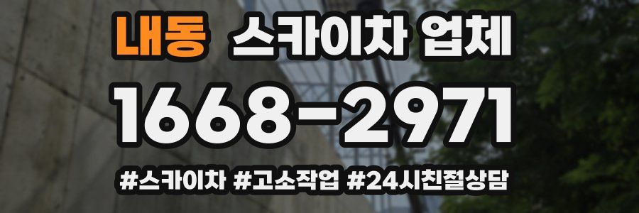 내동 스카이차 업체