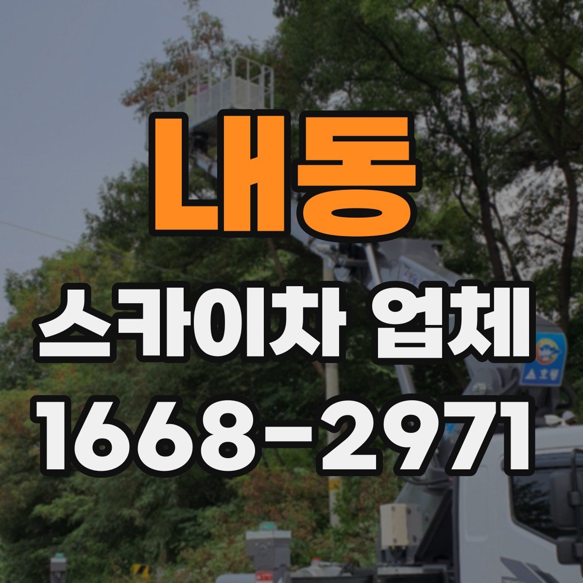 내동 스카이차 업체