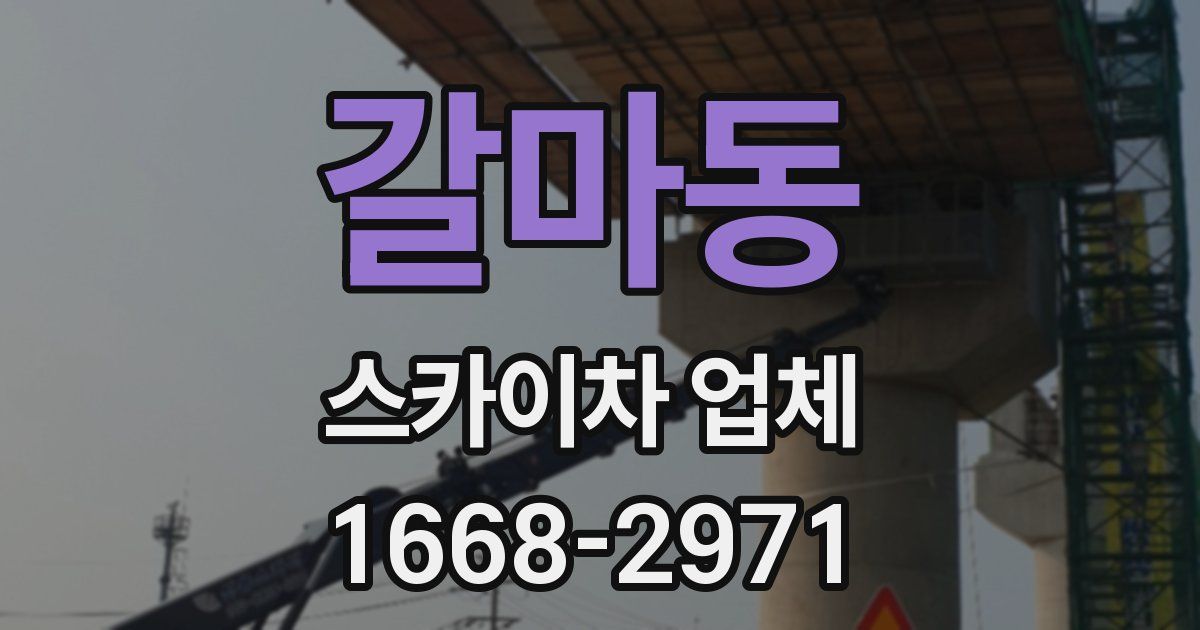 갈마동 스카이차 업체