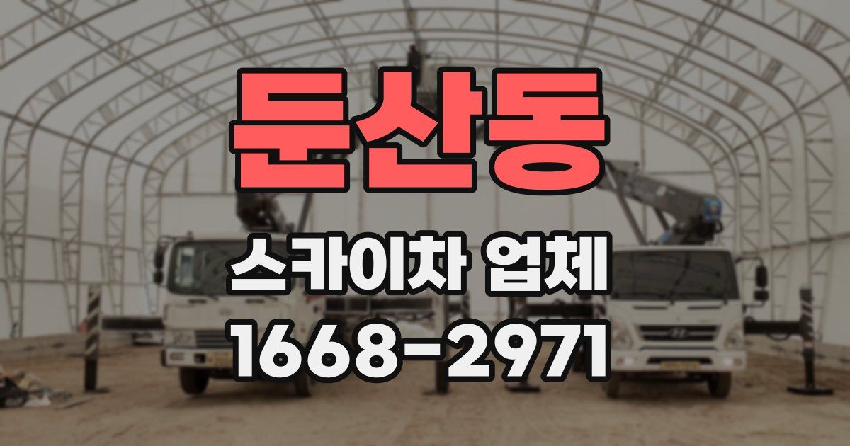 둔산동 스카이차 업체