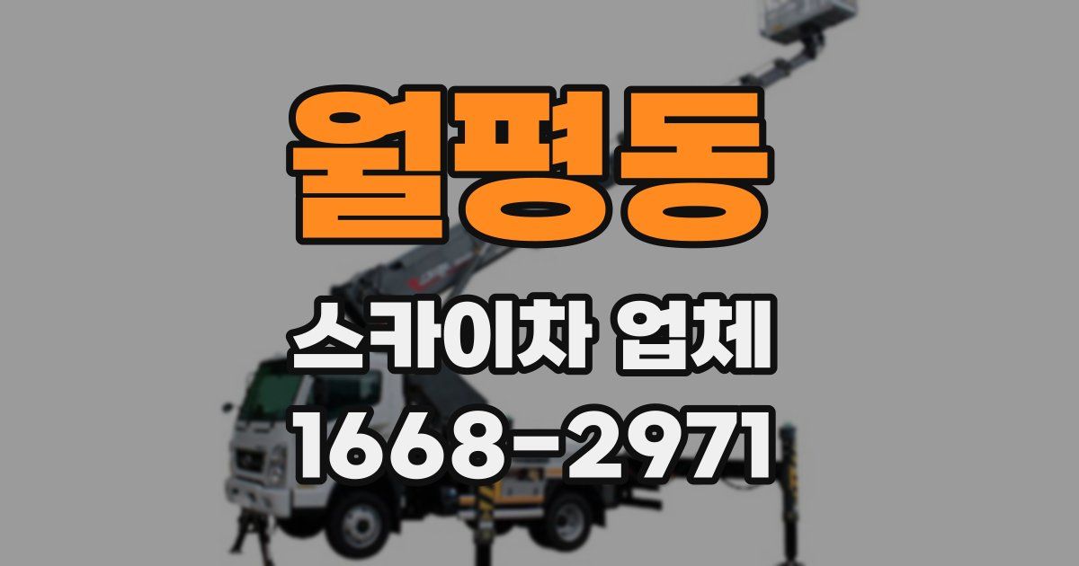 월평동 스카이차 업체