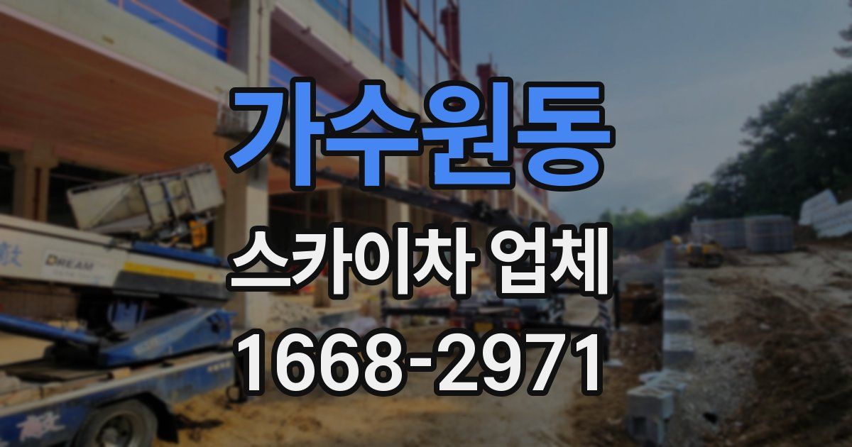 가수원동 스카이차 업체
