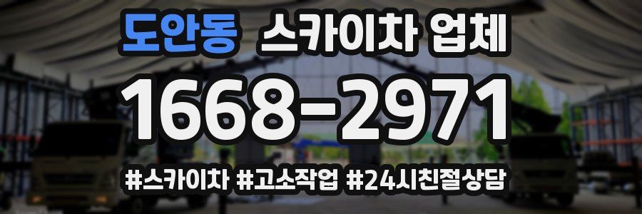 도안동 스카이차 업체