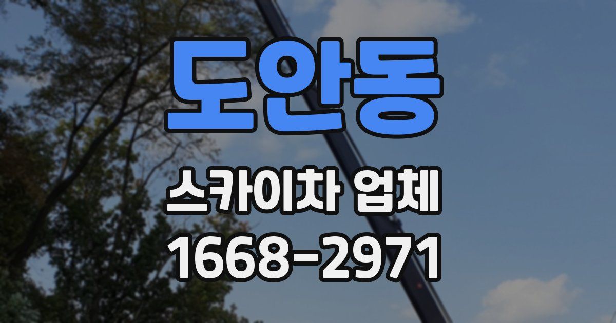 도안동 스카이차 업체
