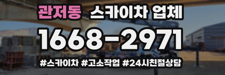 관저동 스카이차 업체