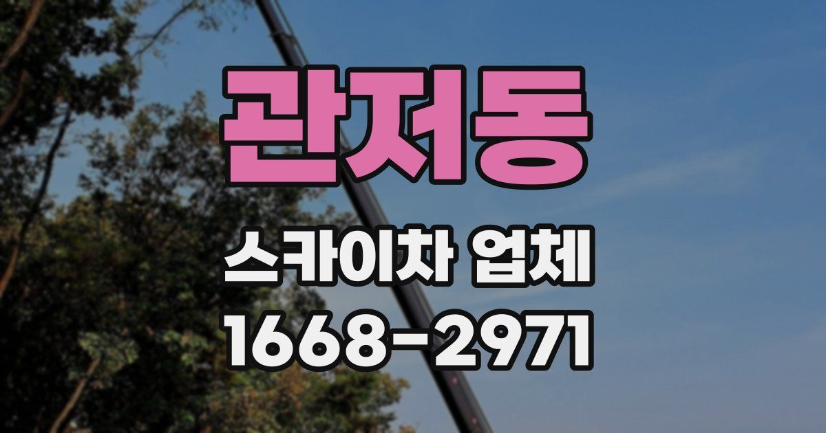 관저동 스카이차 업체