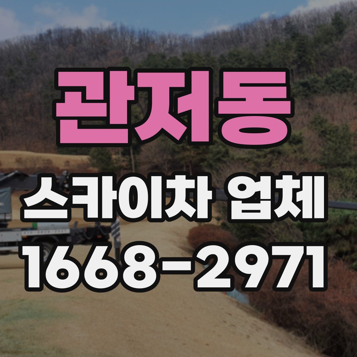 관저동 스카이차 업체