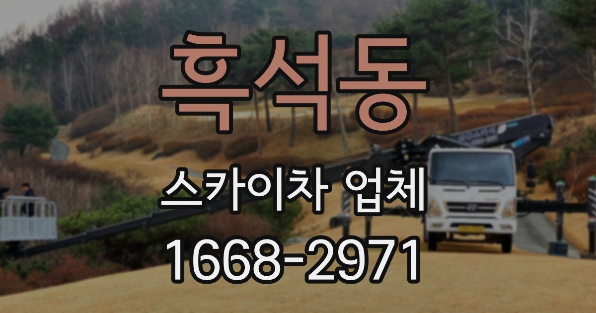 흑석동 스카이차 업체