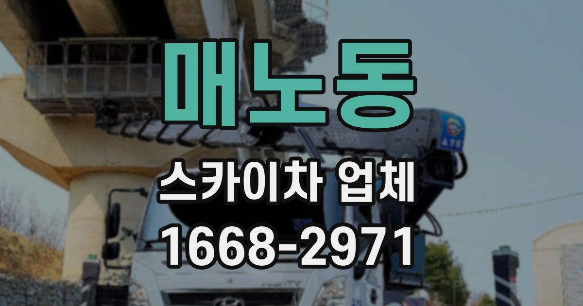 매노동 스카이차 업체