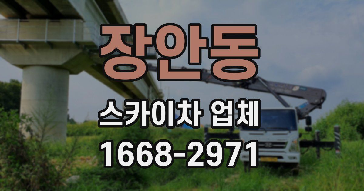 장안동 스카이차 업체