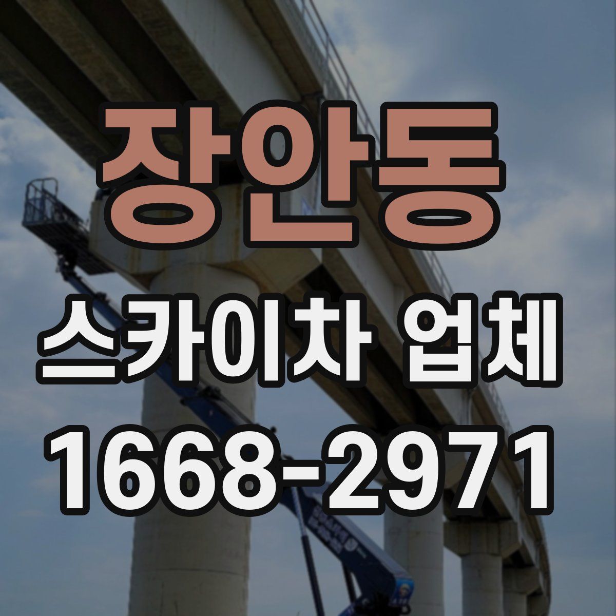장안동 스카이차 업체