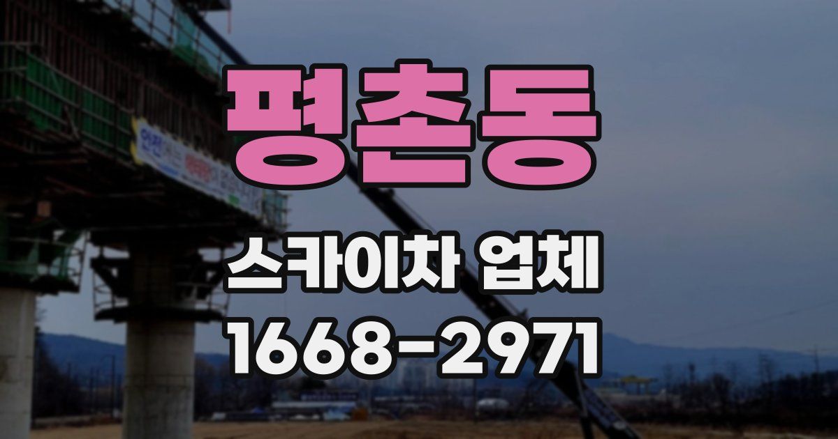 평촌동 스카이차 업체