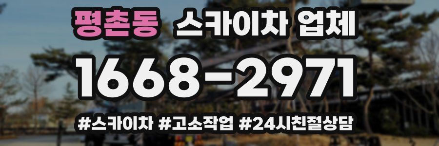 평촌동 스카이차 업체