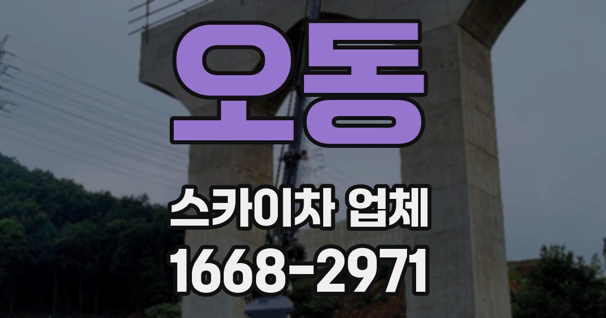 오동 스카이차 업체