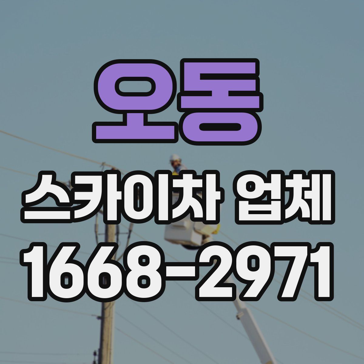 오동 스카이차 업체