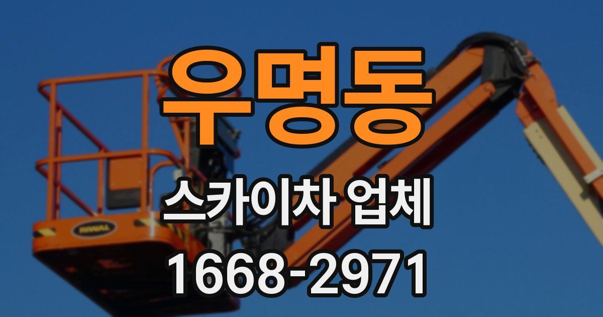 우명동 스카이차 업체
