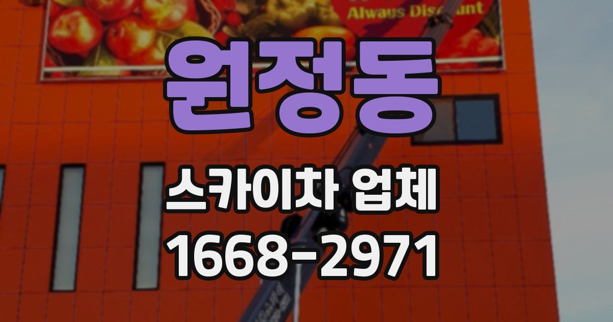 원정동 스카이차 업체