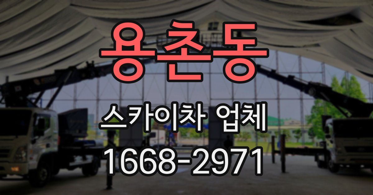 용촌동 스카이차 업체