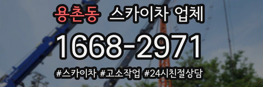 용촌동 스카이차 업체