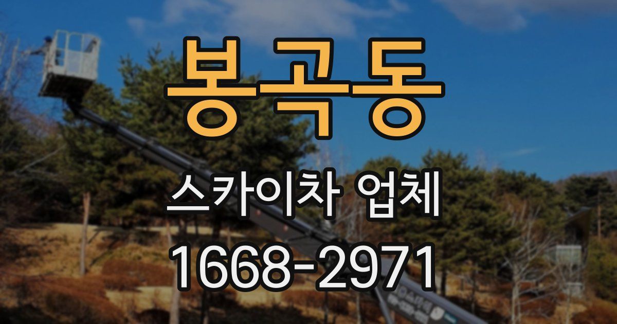 봉곡동 스카이차 업체