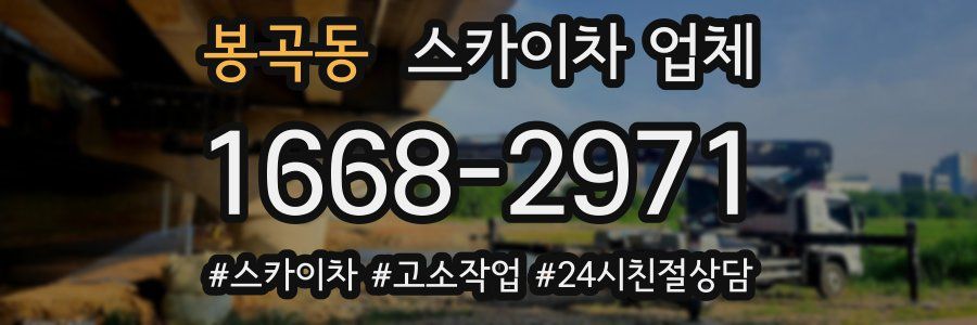 봉곡동 스카이차 업체