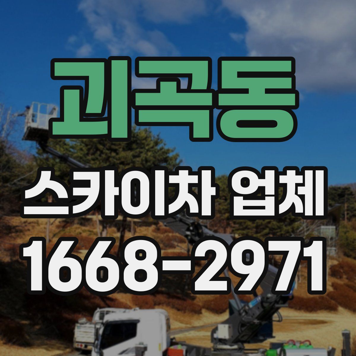 괴곡동 스카이차 업체