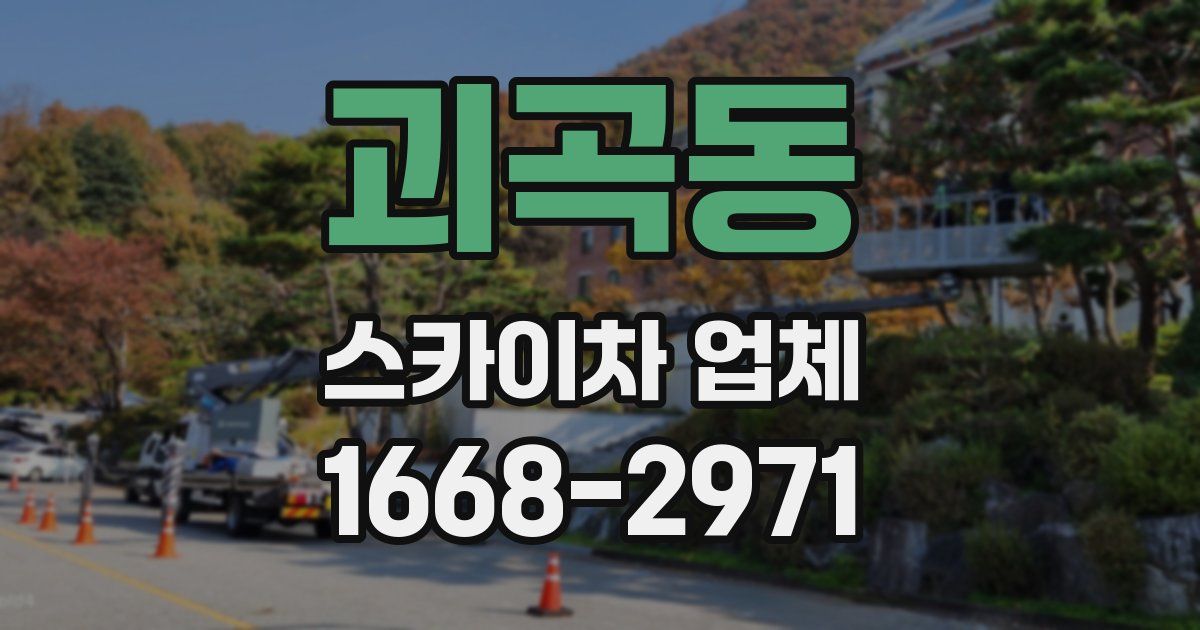 괴곡동 스카이차 업체