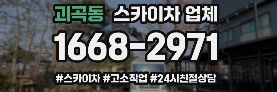 괴곡동 스카이차 업체