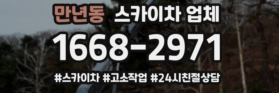 만년동 스카이차 업체