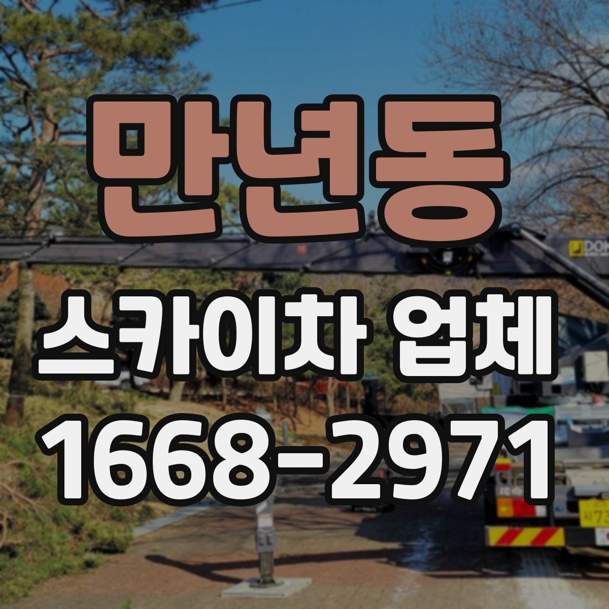 만년동 스카이차 업체