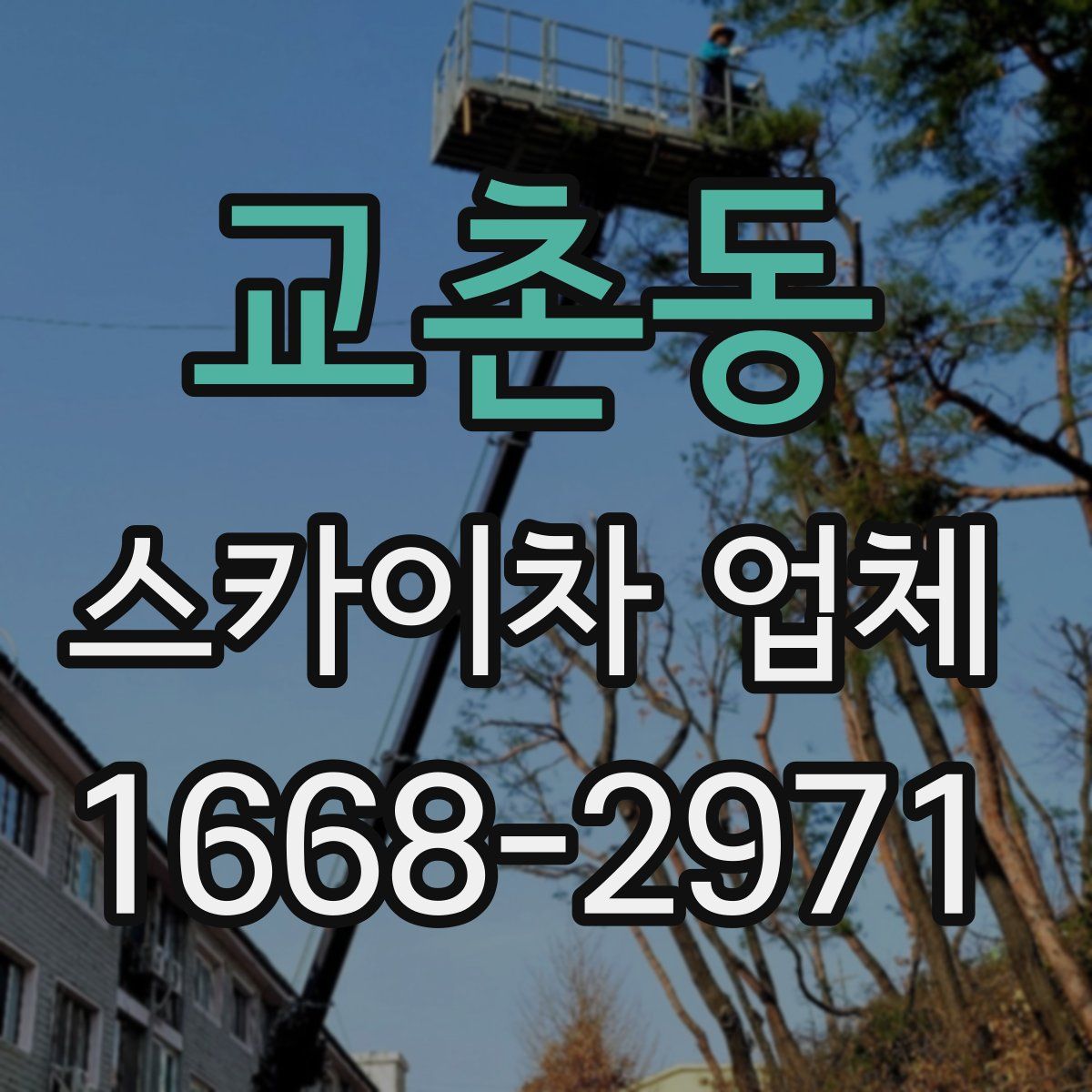 교촌동 스카이차 업체