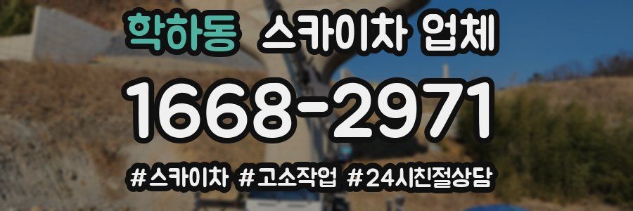 학하동 스카이차 업체