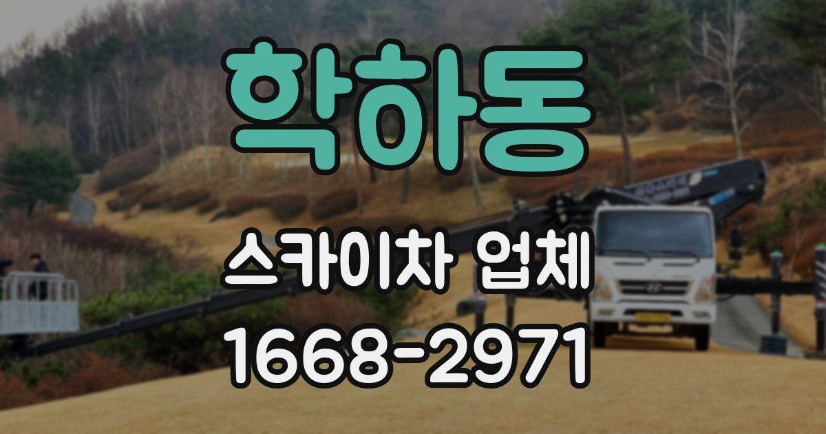 학하동 스카이차 업체