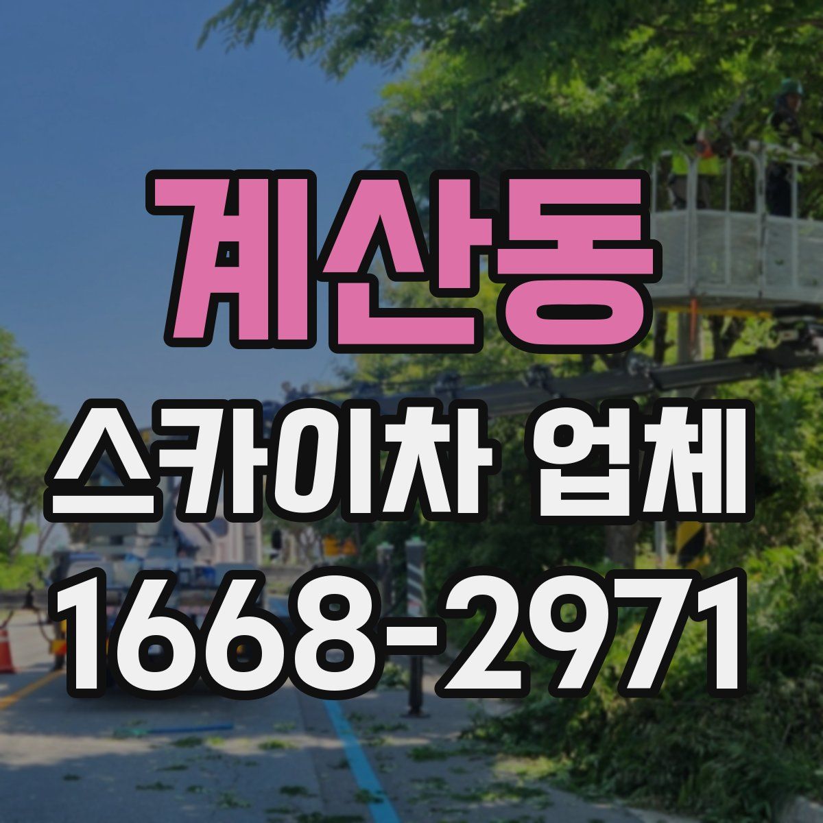 계산동 스카이차 업체