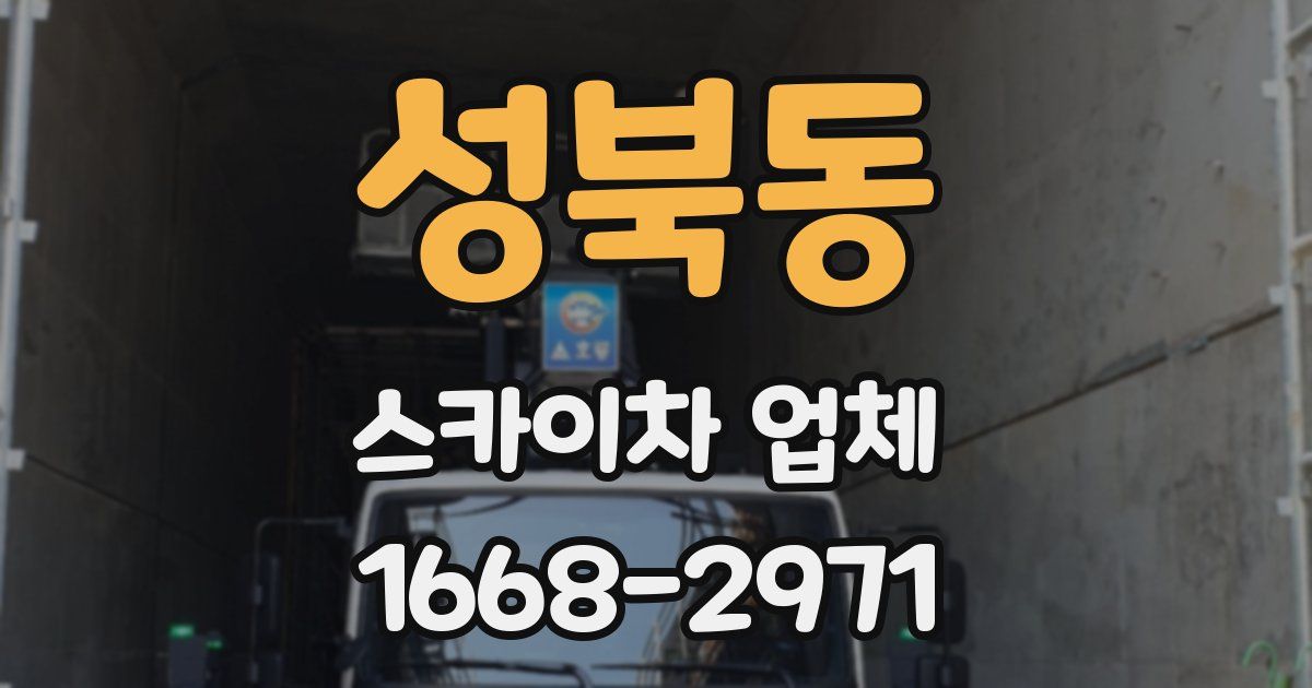 성북동 스카이차 업체
