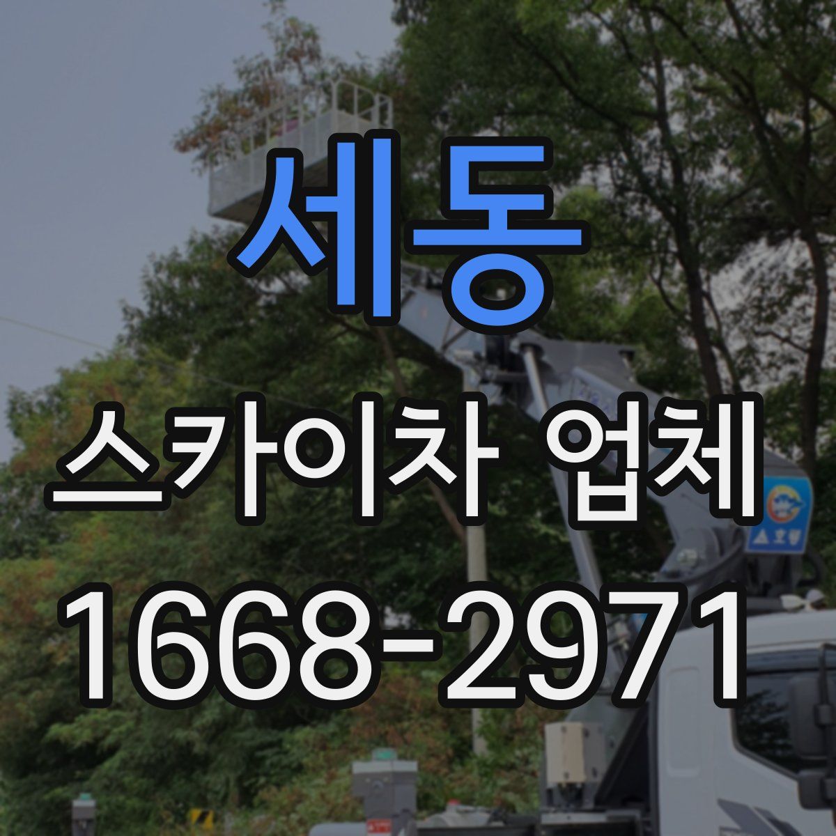 세동 스카이차 업체